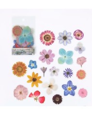 Yaprak Sticker - 1 Paket