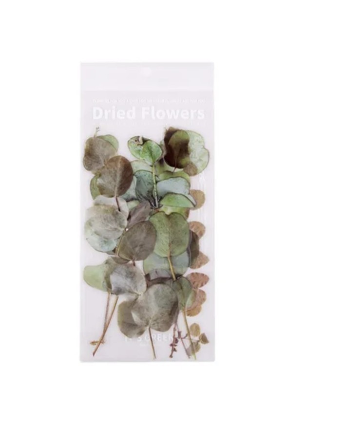 1 Paket - Okaliptus Yaprağı Sticker