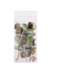 1 Paket - Okaliptus Yaprağı Sticker