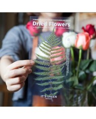 1 Paket - Eğrelti Otu Sticker