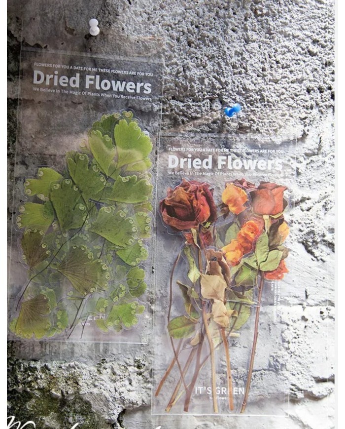 1 Paket - Baldırıkara Otu Sticker