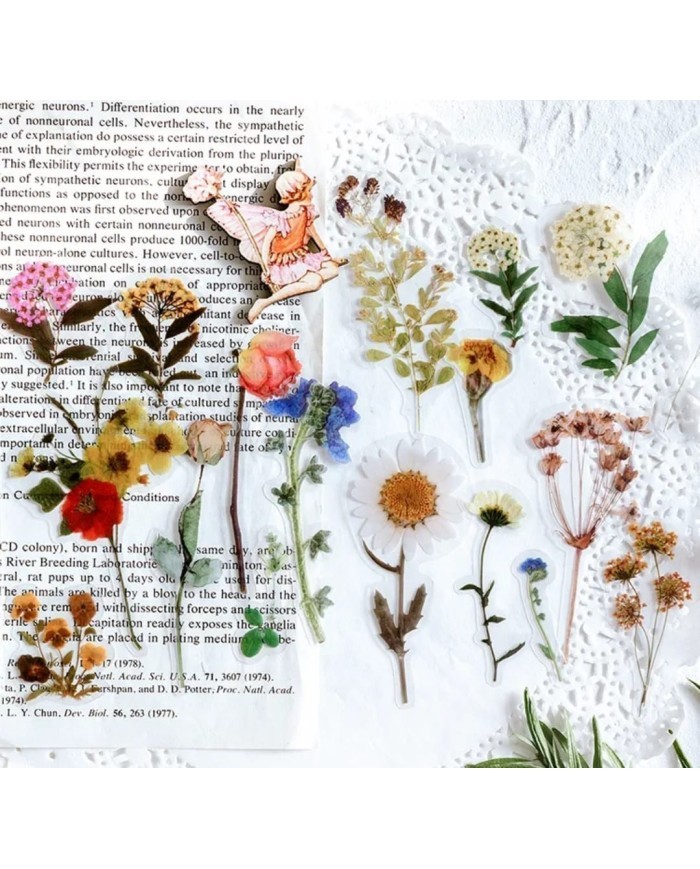 1 Paket - Okaliptus Yaprağı Sticker