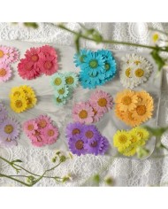 Kurutulmuş Papatya - Fuşya 5 Adet