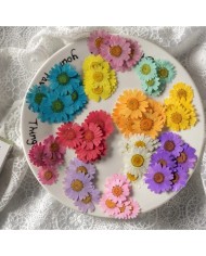 Kurutulmuş Papatya - Fuşya 5 Adet