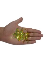 Epoksi Süsleme Glitter Pul Kalp Janjan Gold-5 gr