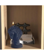 At kafası Modeli Hobi Silikon Mum Kalıbı - Kod: 1167