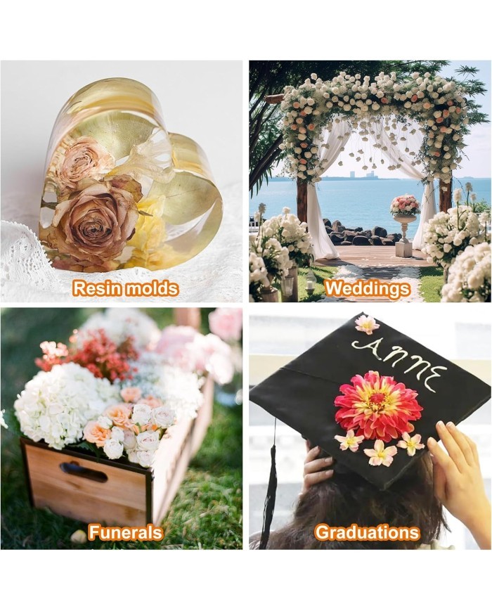 Silika Jel Çiçek Kurutma Kristalleri, Çiçekleri