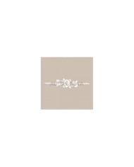 UA Stencıl UA-12 (10*25 cm)