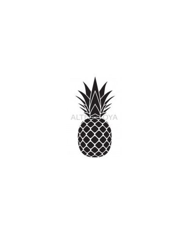 Ananas Stencıl A4 S-997
