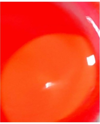 Alkol Bazlı Epoksi Mürekkep Boya 15 cc - Neon Turuncu