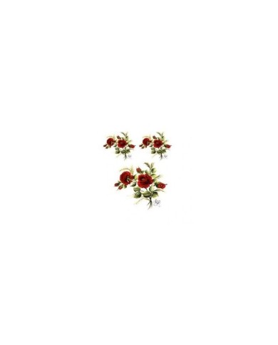 Gülsün Ülkü 17*25 G-02