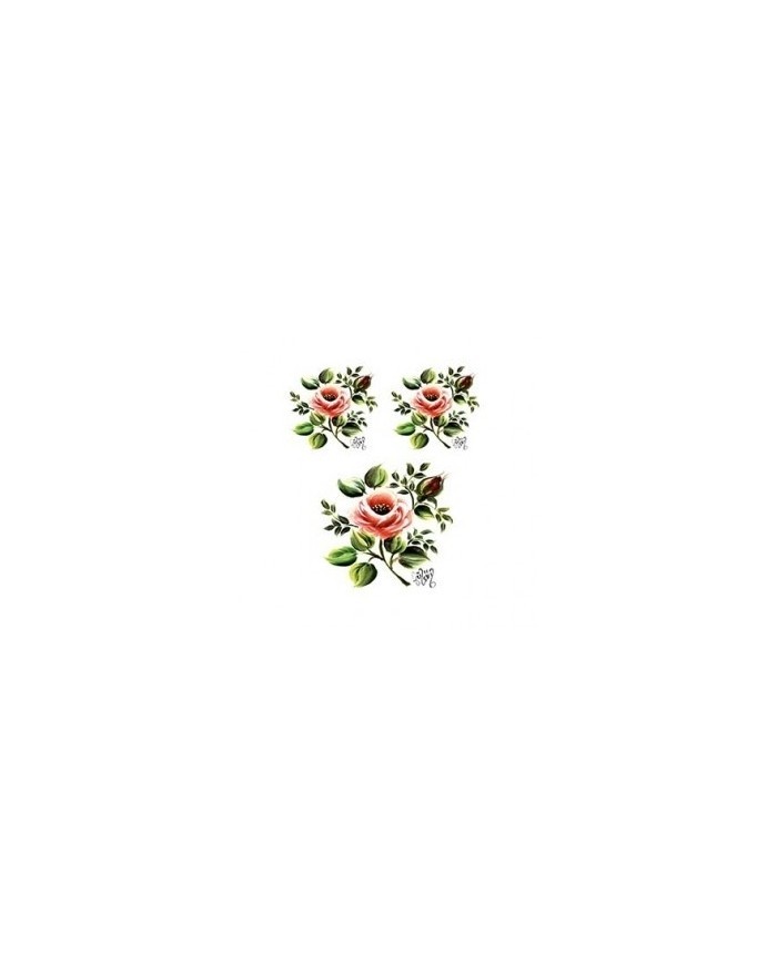 Gülsün Ülkü 17*25 G-04