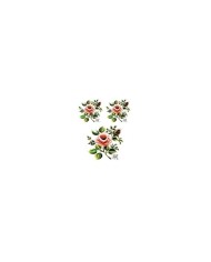 Gülsün Ülkü 17*25 G-04