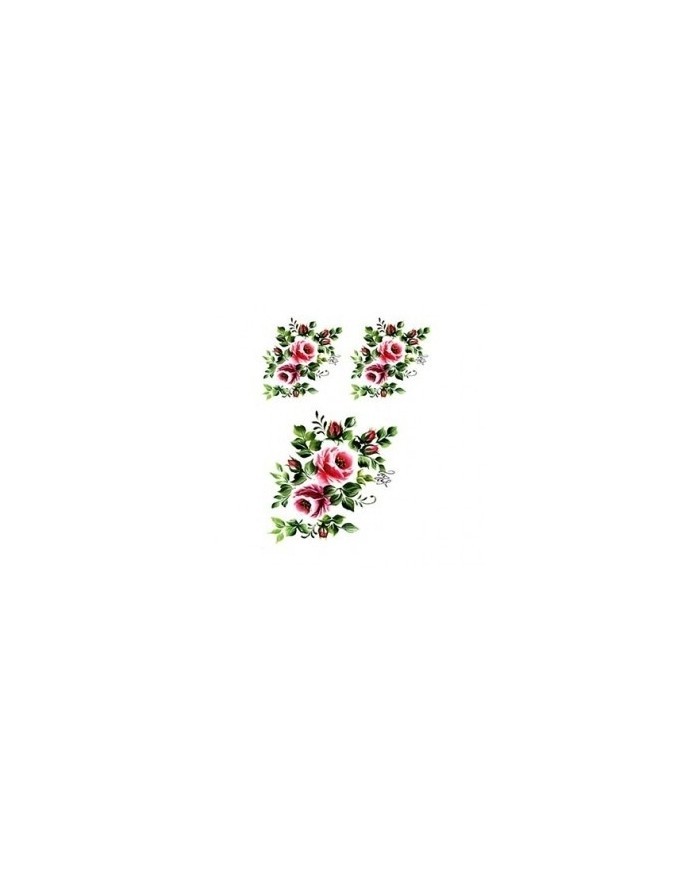 Gülsün Ülkü 17*25 G-05