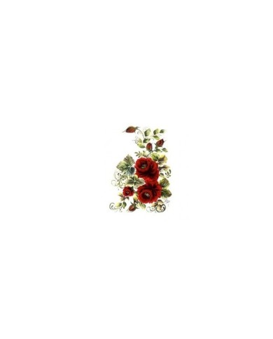 Gülsün Ülkü 17*25 G-08