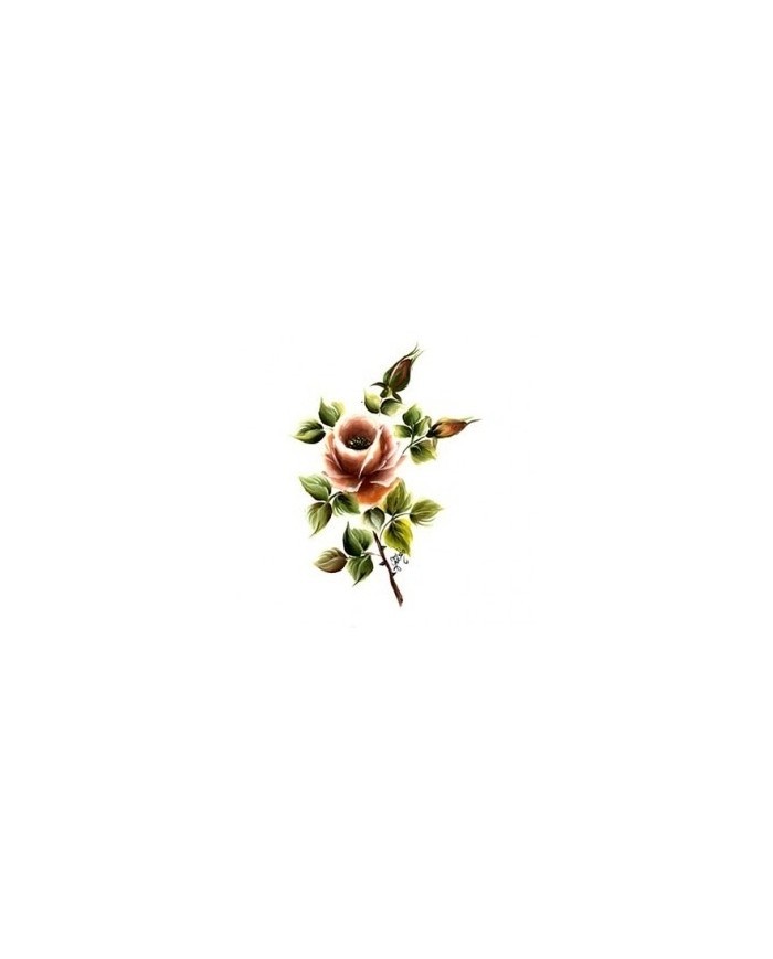 Gülsün Ülkü 17*25 G-10