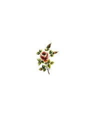 Gülsün Ülkü 17*25 G-10