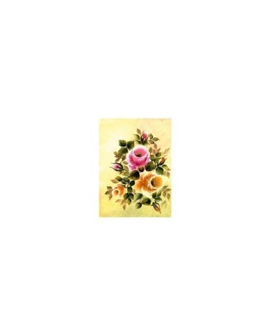 Gülsün Ülkü 17*25 G-12