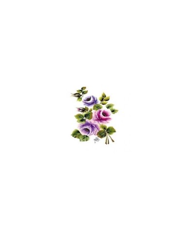 Gülsün Ülkü 17*25 G-14