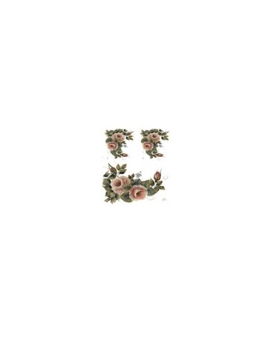 Gülsün Ülkü 17*25 G-15