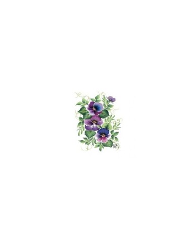 Gülsün Ülkü 17*25 G-16