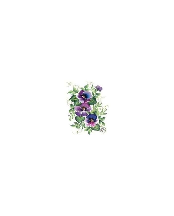 Gülsün Ülkü 17*25 G-16