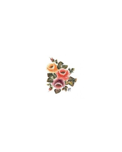 Gülsün Ülkü 17*25 G-17