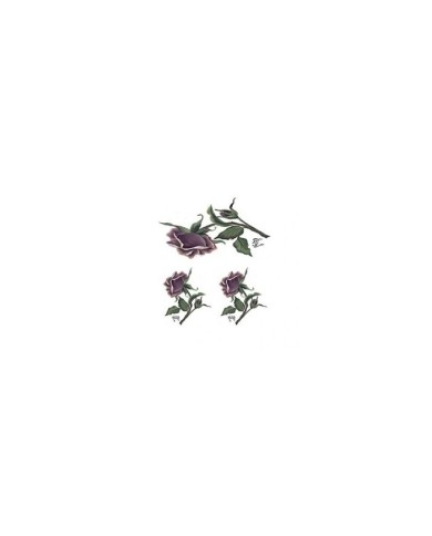 Gülsün Ülkü 17*25 G-18