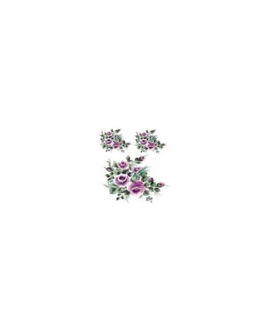 Gülsün Ülkü 17*25 G-19