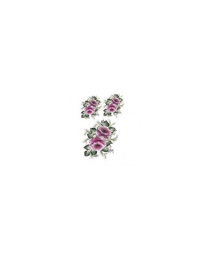 Gülsün Ülkü 17*25 G-21