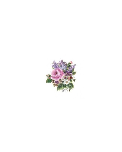 Gülsün Ülkü 17*25 G-23