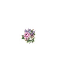 Gülsün Ülkü 17*25 G-23