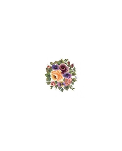 Gülsün Ülkü 17*25 G-26