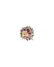 Gülsün Ülkü 17*25 G-26