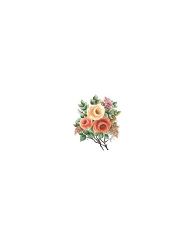 Gülsün Ülkü 17*25 G-30