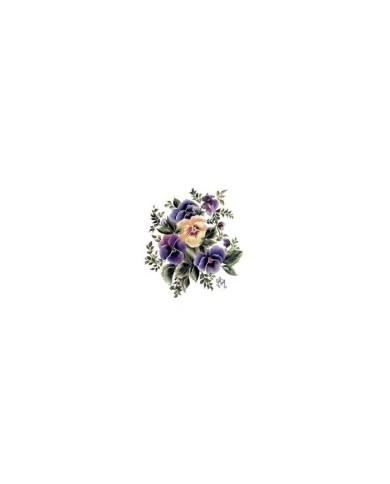 Gülsün Ülkü 17*25 G-36