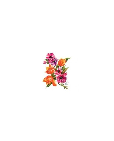 Gülsün Ülkü 17*25 G-38