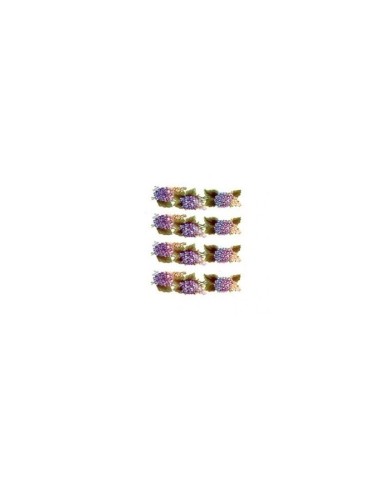 Gülsün Ülkü 17*25 G-47