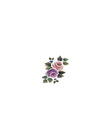Gülsün Ülkü 17*25 G-91