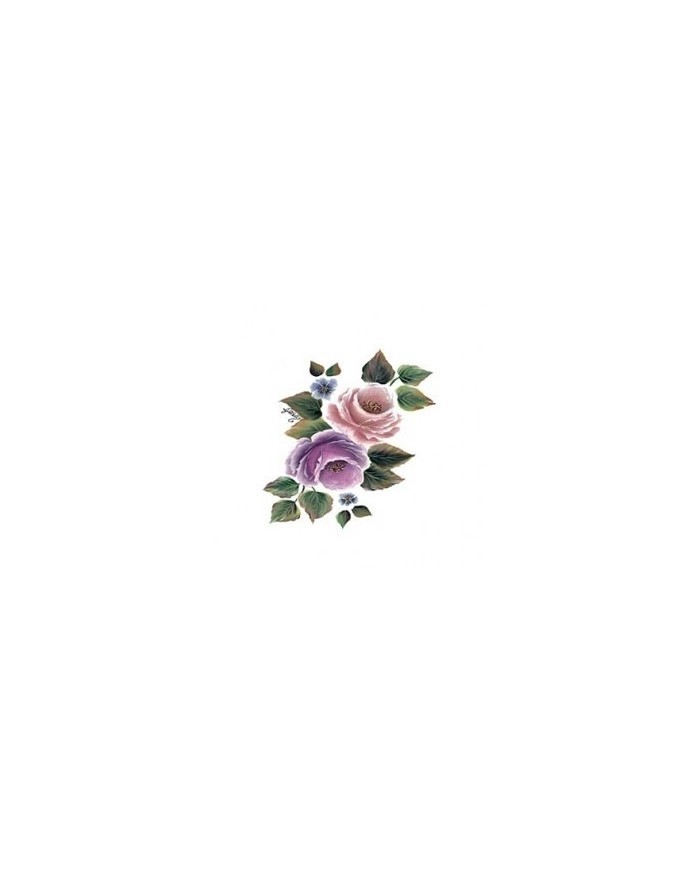 Gülsün Ülkü 17*25 G-91