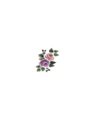 Gülsün Ülkü 17*25 G-91