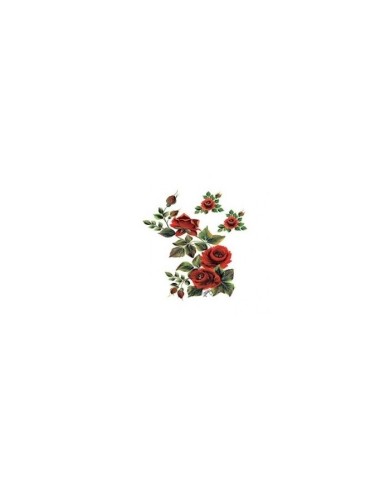 Gülsün Ülkü 17*25 G-93