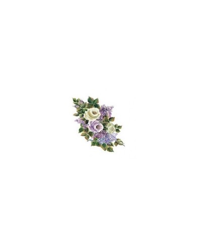 Gülsün Ülkü 17*25 G-95