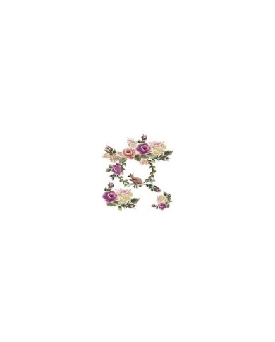 Gülsün Ülkü 17*25 G-96