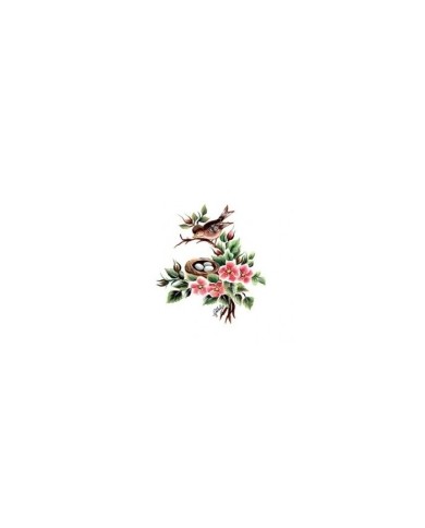 Gülsün Ülkü 17*25 G-101