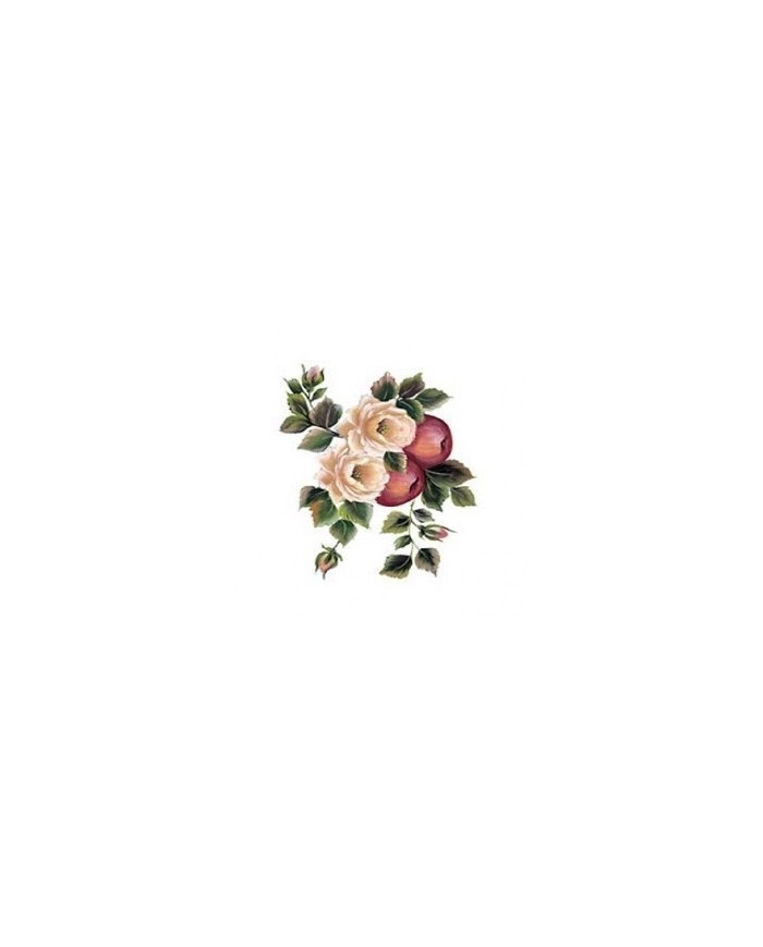 Gülsün Ülkü 17*25 G-161