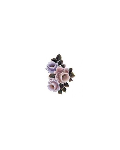 Gülsün Ülkü 17*25 G-162