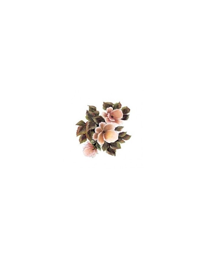 Gülsün Ülkü 17*25 G-164