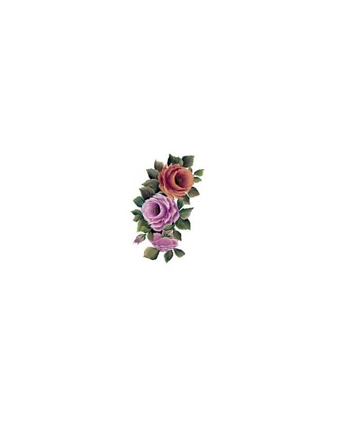 Gülsün Ülkü 17*25 G-166