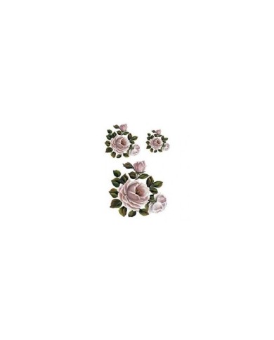 Gülsün Ülkü 17*25 G-167